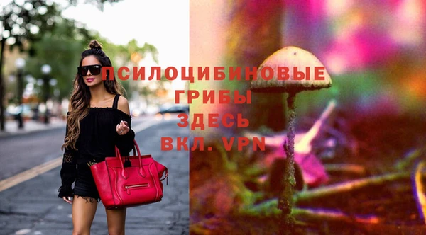трава Грязовец