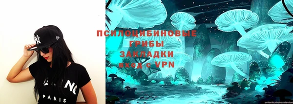mdpv Пересвет