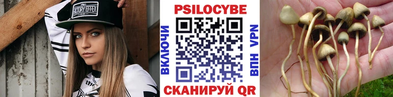 Купить где  Заозёрск  Галлюциногенные грибы прущие грибы 